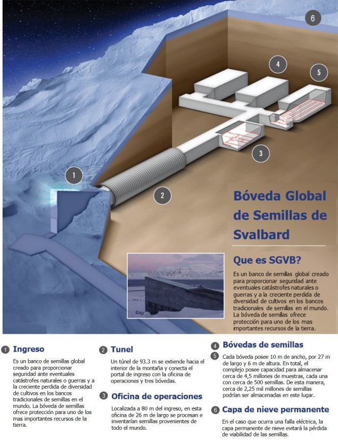 Bóveda global de semillas