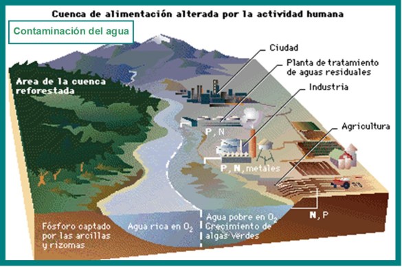 contaminación 2
