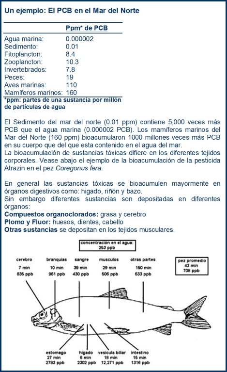 contaminación 5