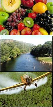 El lento envenenamiento de la vida 1