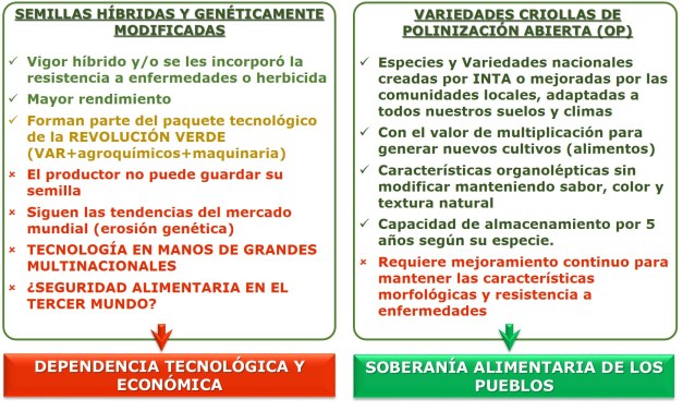 tipos de semilla