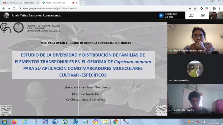 Defensa de tesis Anahí Yañez